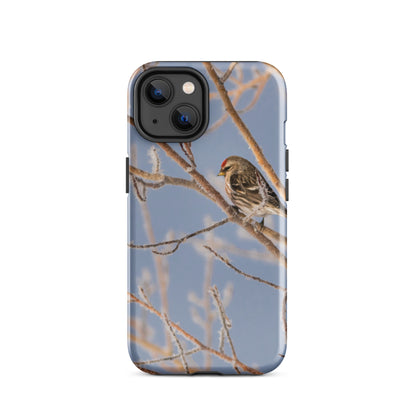 Common Redpoll Tough Case for iPhone®