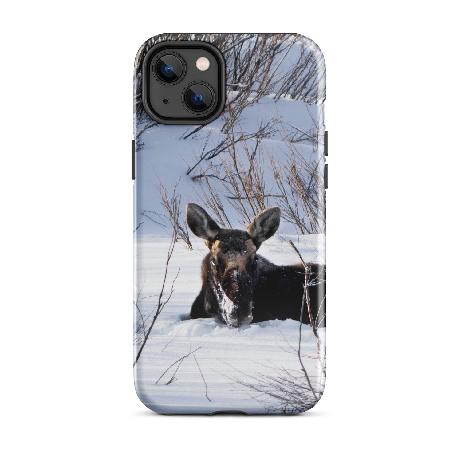 Moose Moments: Protect Your iPhone with the Quiet Power of the Wild