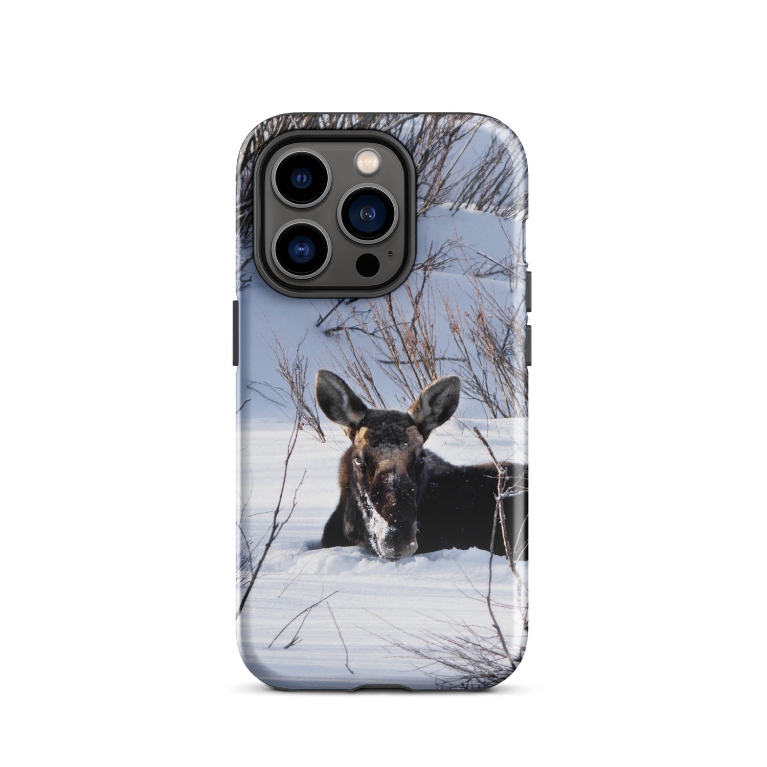 Moose Moments: Protect Your iPhone with the Quiet Power of the Wild