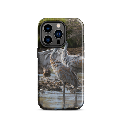 iPhone Cover &amp; Sndhill Cranes  — Carry the Wild With You