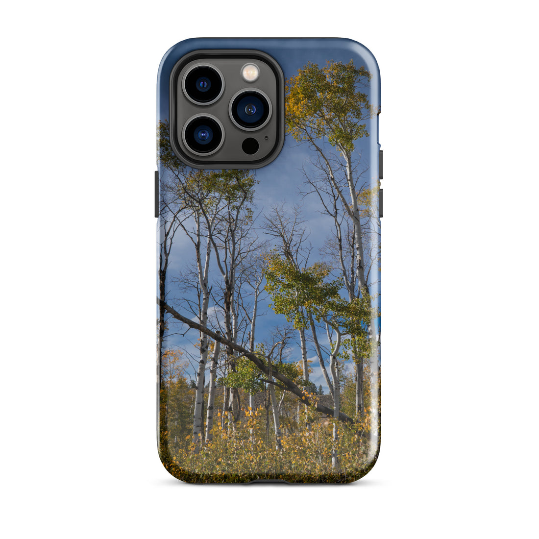 Aspens in the Fall Tough Case for iPhone®