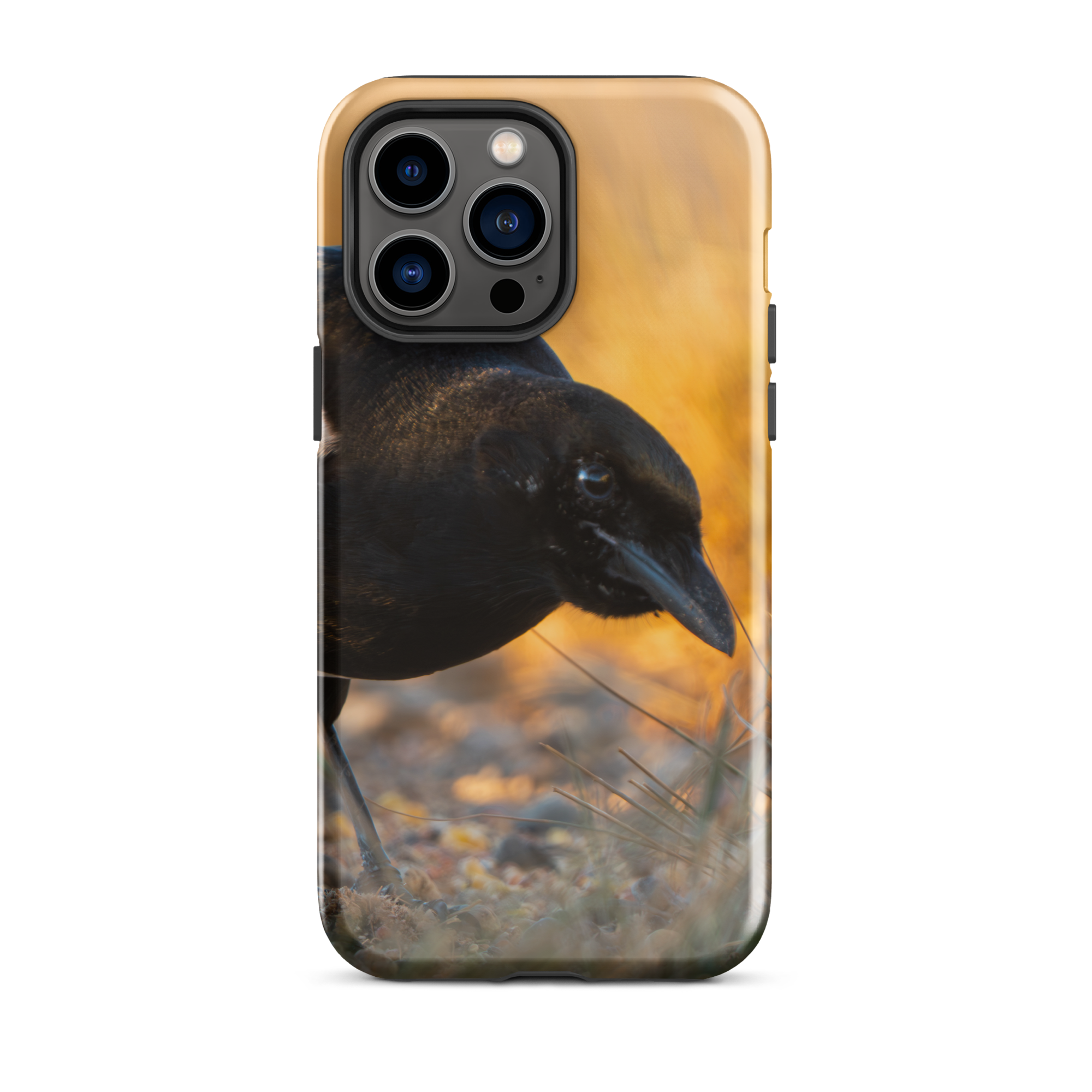 iPhone Cover Magpie — Dressed for the Wild
