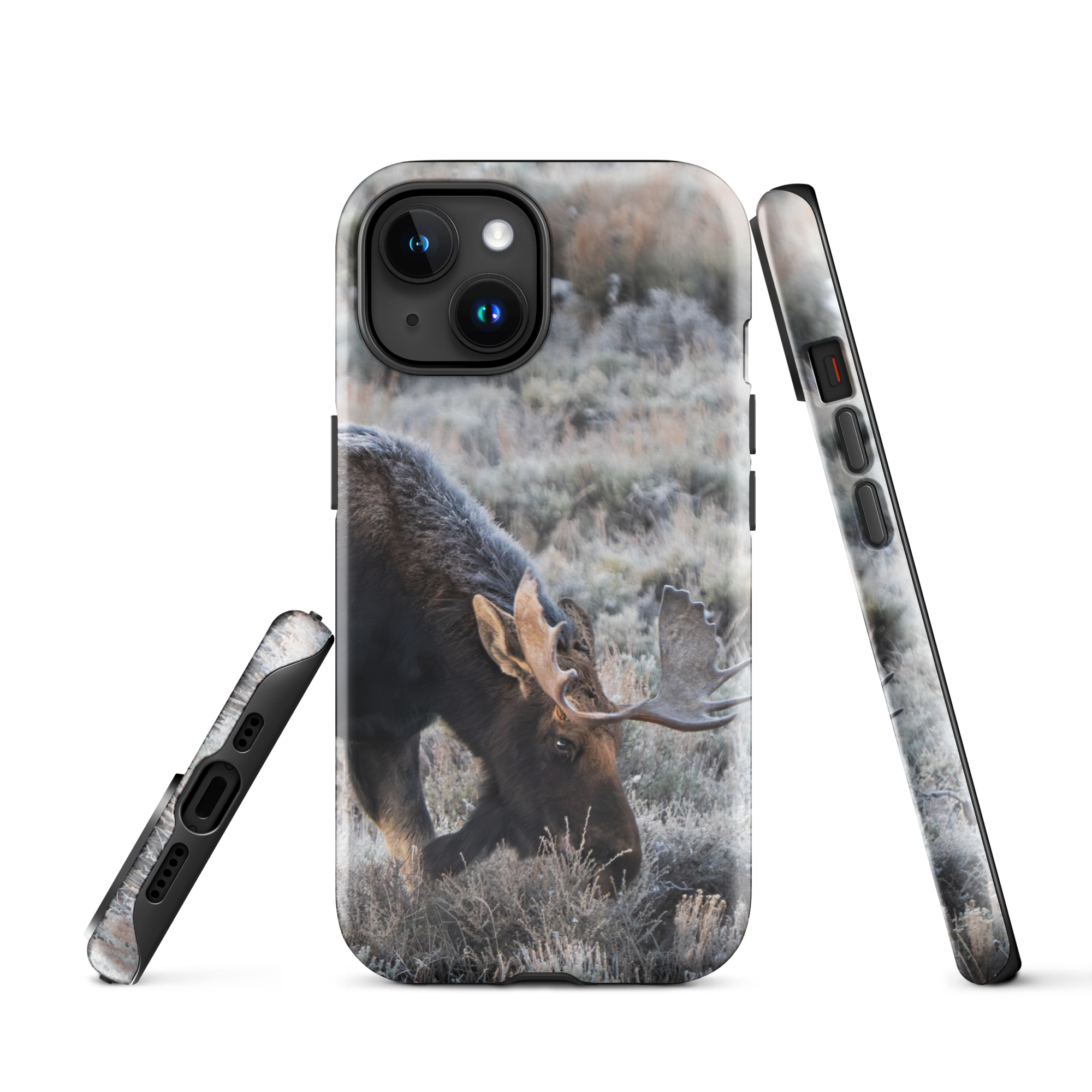 iPhone Cover — Moose