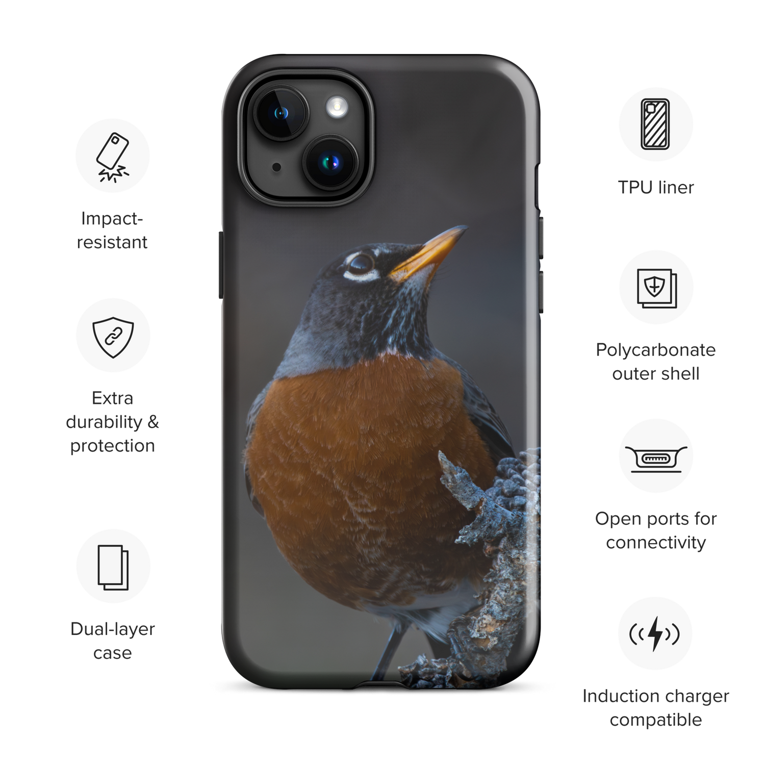 Curious Robin Spring iPhone Case