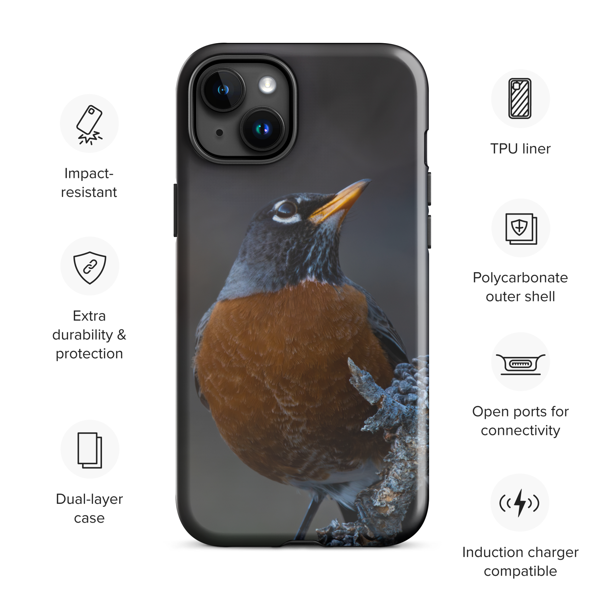 Curious Robin Spring iPhone Case