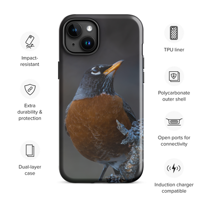 Curious Robin Spring iPhone Case