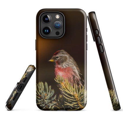 Common Redpoll Tough Case for iPhone®