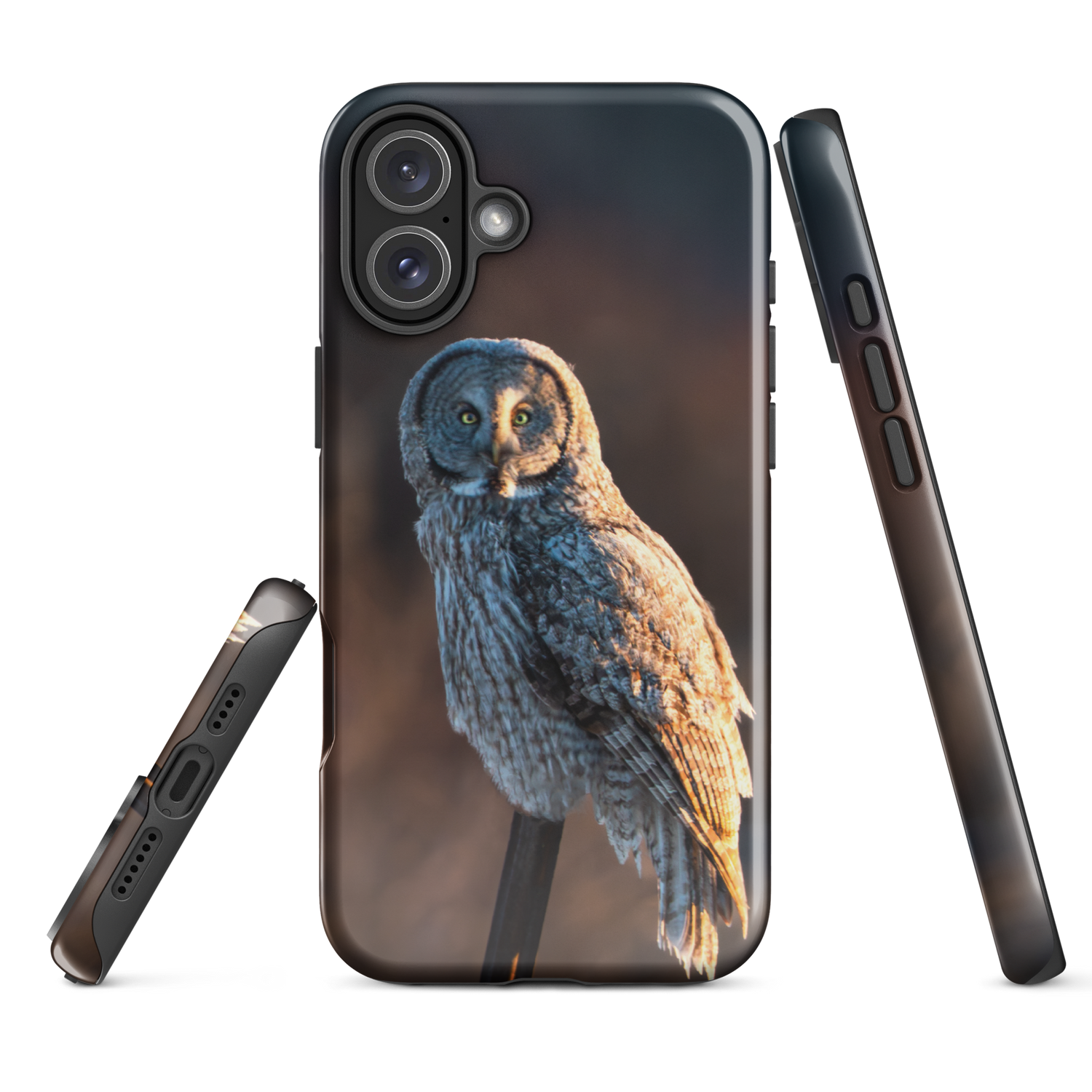 iPhone Cover and First Light Owl