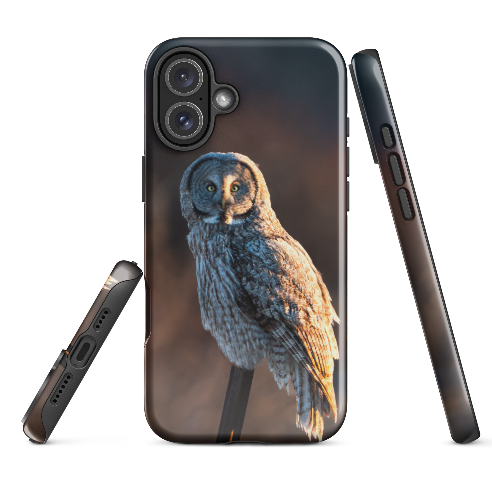 iPhone Cover and First Light Owl