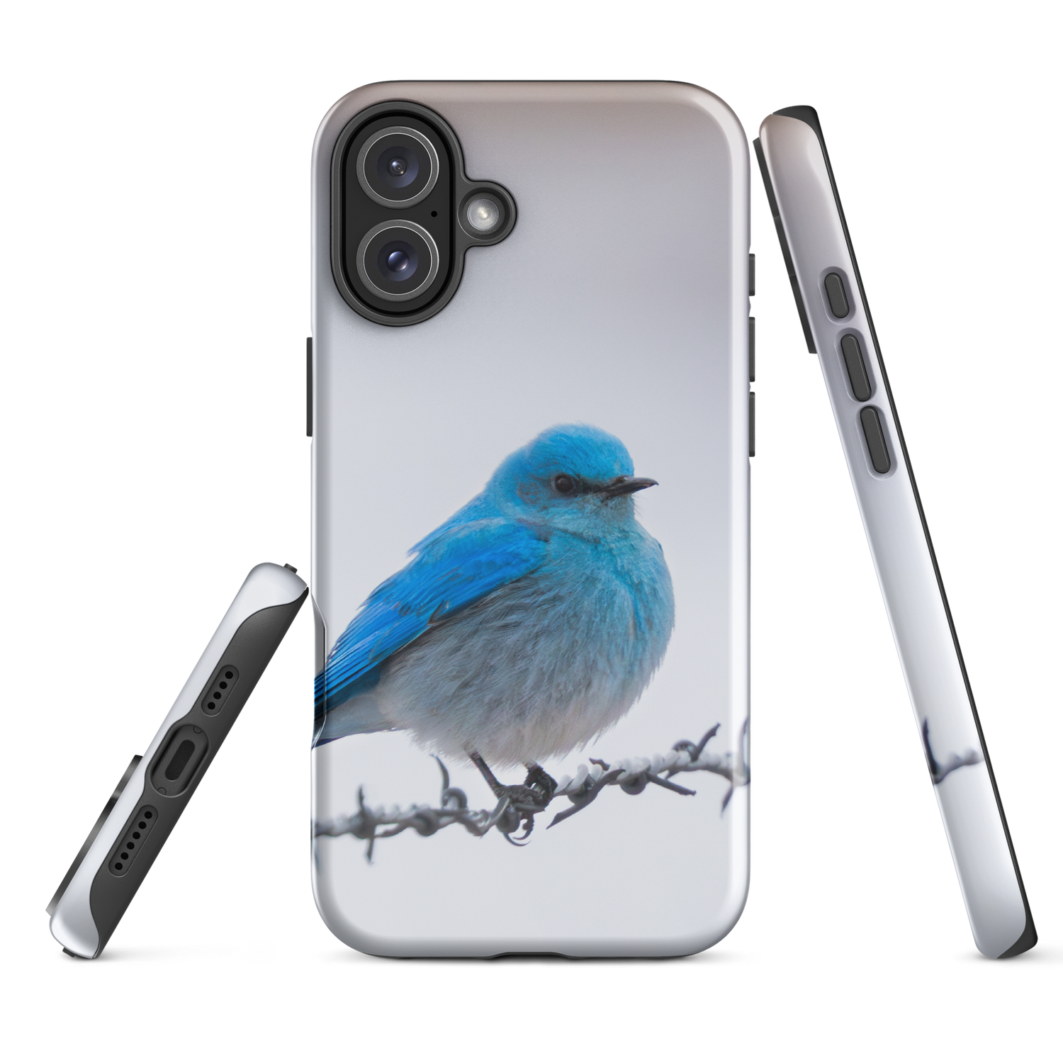 iPhone Cover and Mountain Bluebird Promise