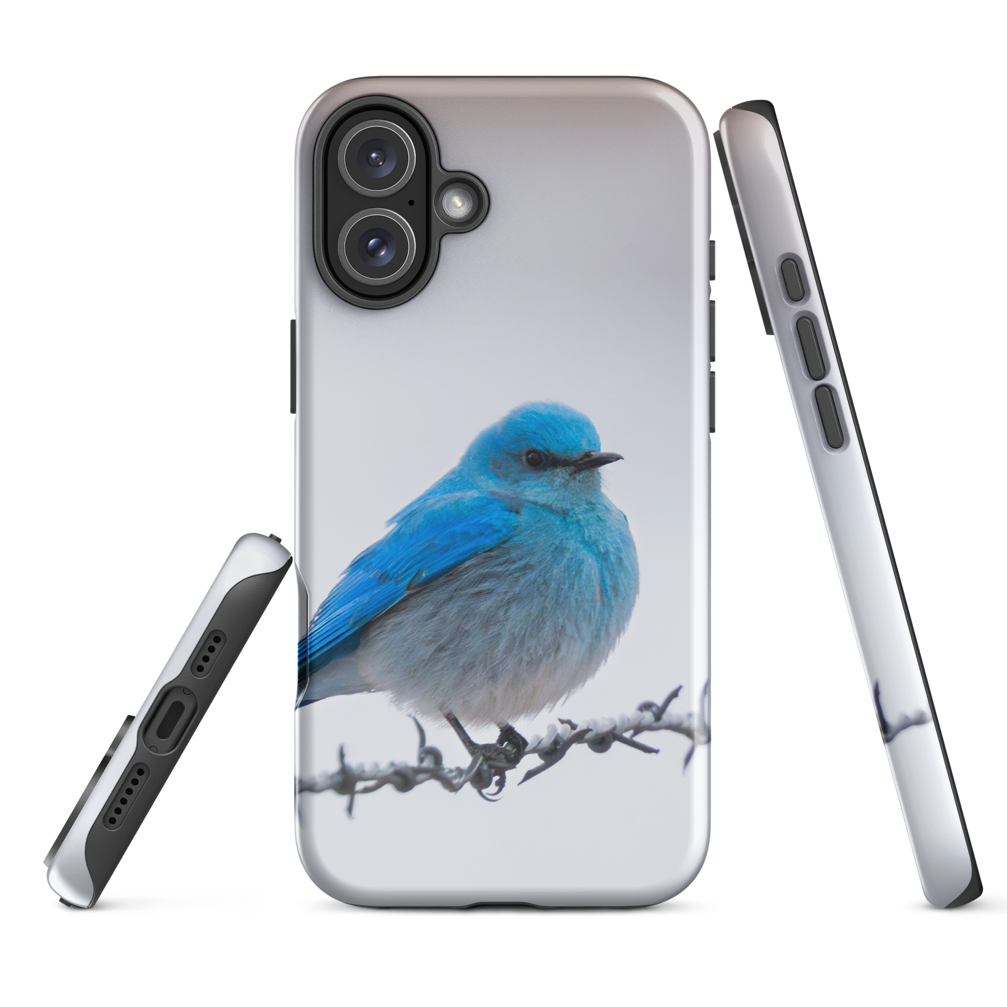 iPhone Cover and Mountain Bluebird Promise
