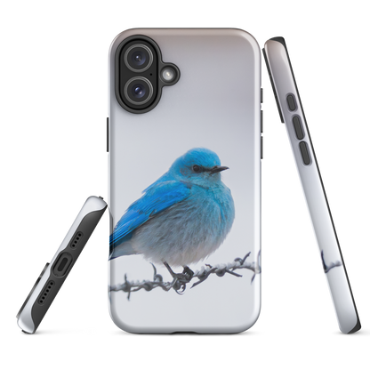 iPhone Cover and Mountain Bluebird Promise