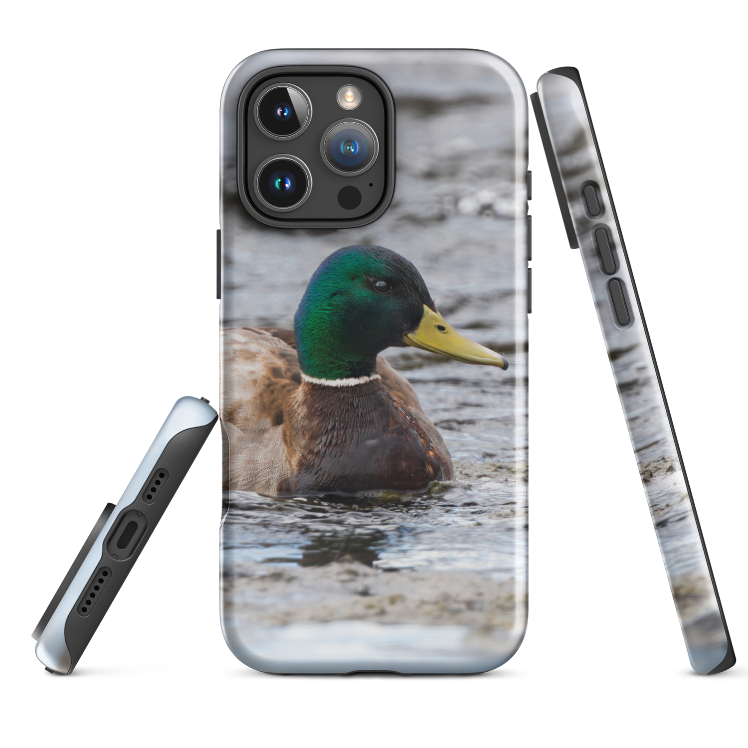 Hidden Beauty iPhone Case