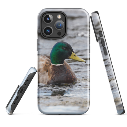 Hidden Beauty iPhone Case