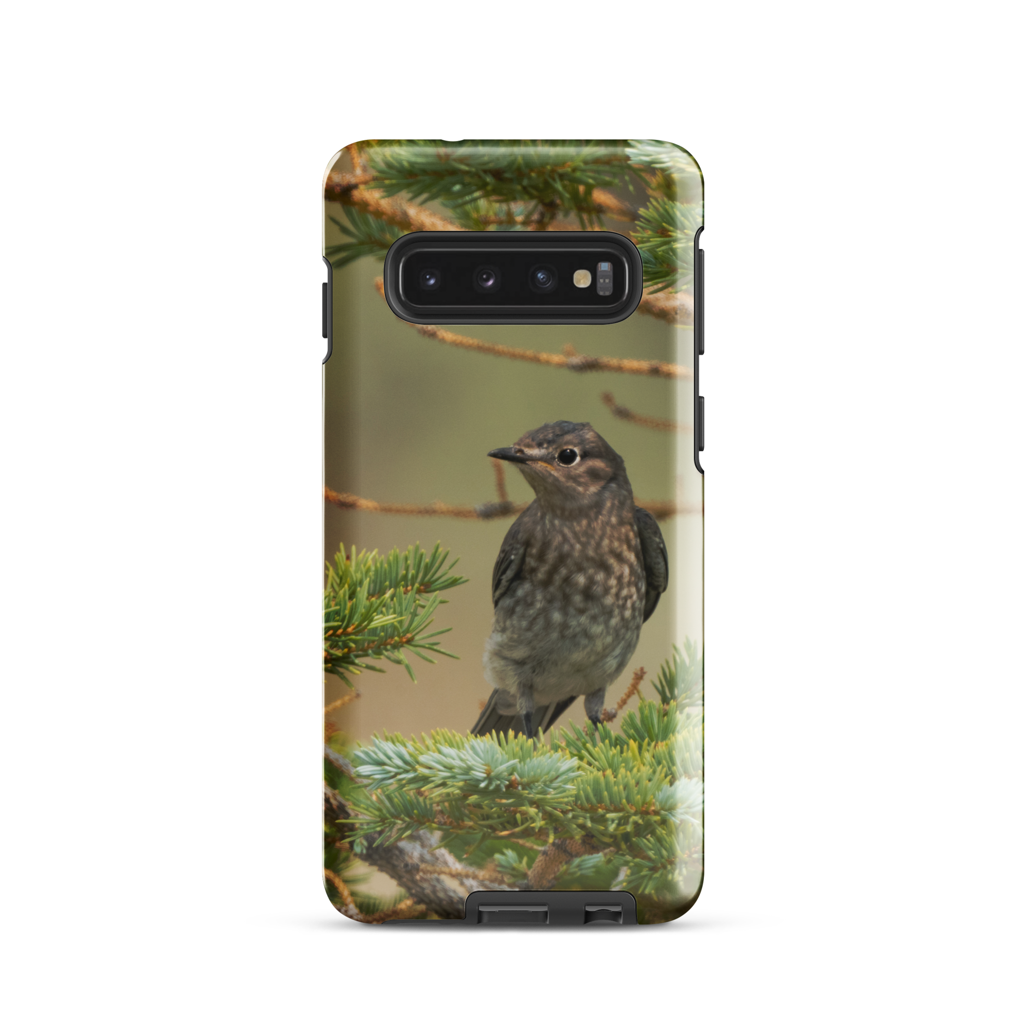 Female Mountain Bluebird Tough case for Samsung®