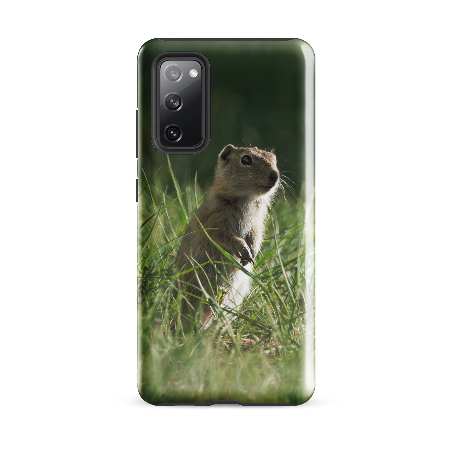 Wyoming Ground Squirrel Tough case for Samsung®