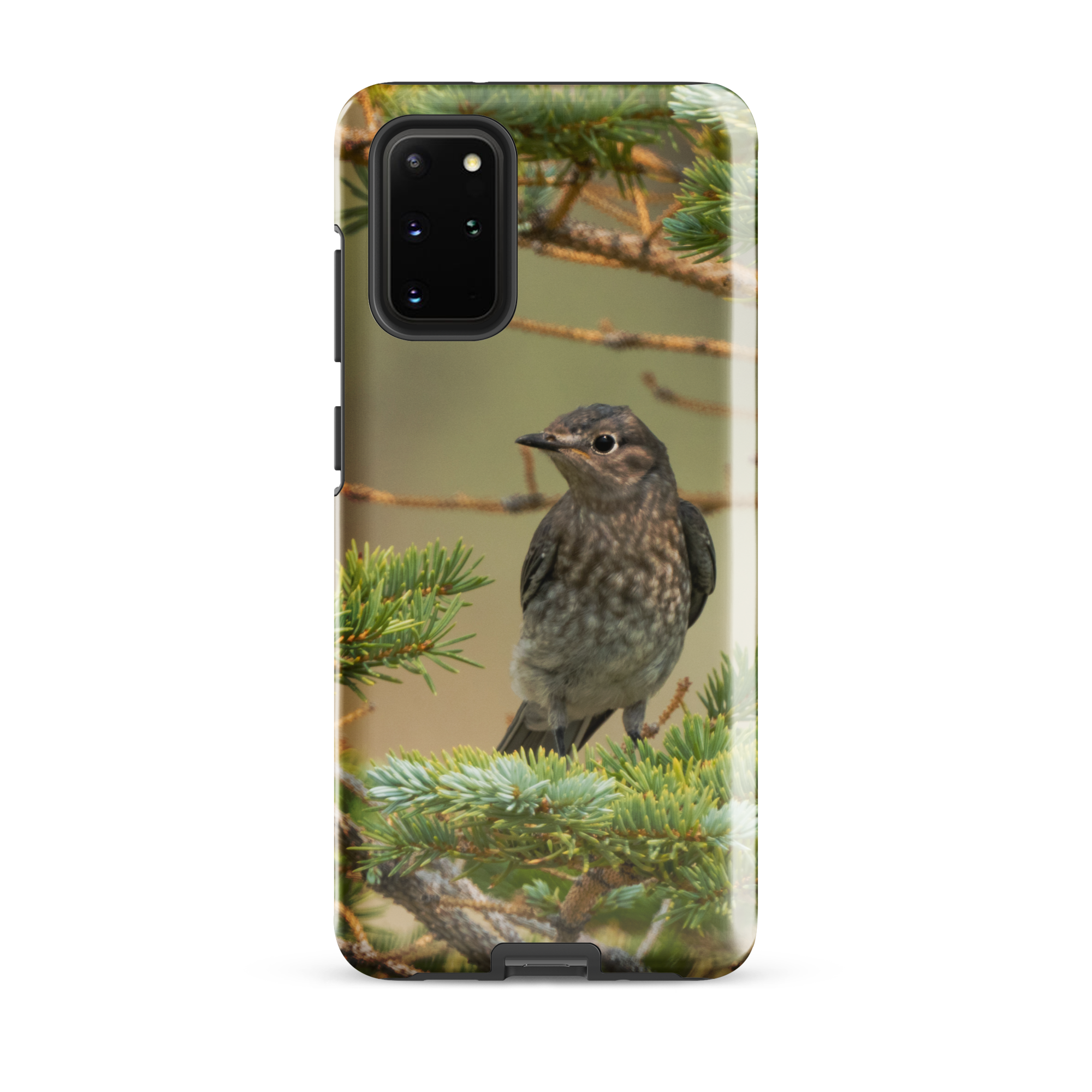 Female Mountain Bluebird Tough case for Samsung®