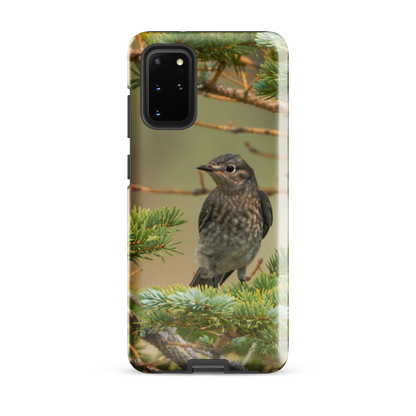 Female Mountain Bluebird Tough case for Samsung®