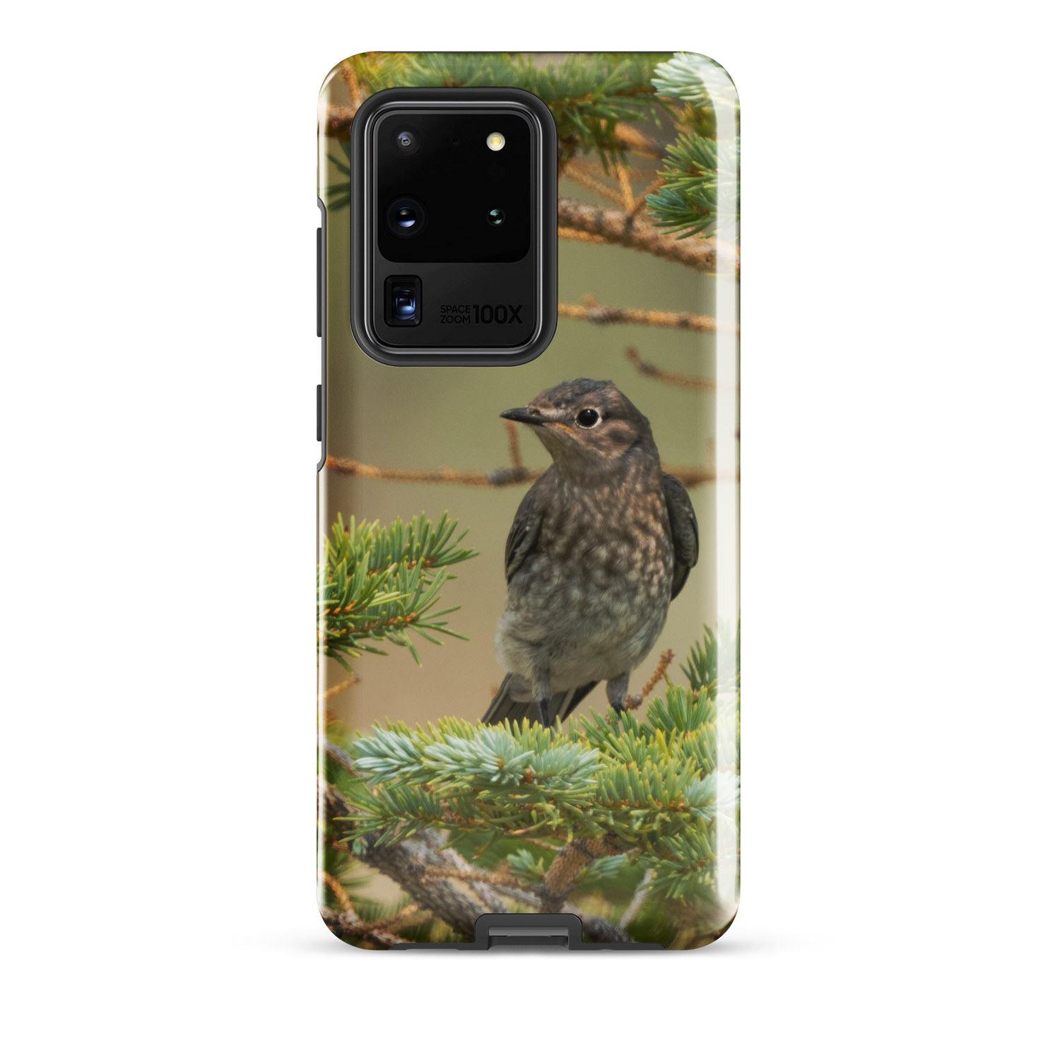 Female Mountain Bluebird Tough case for Samsung®