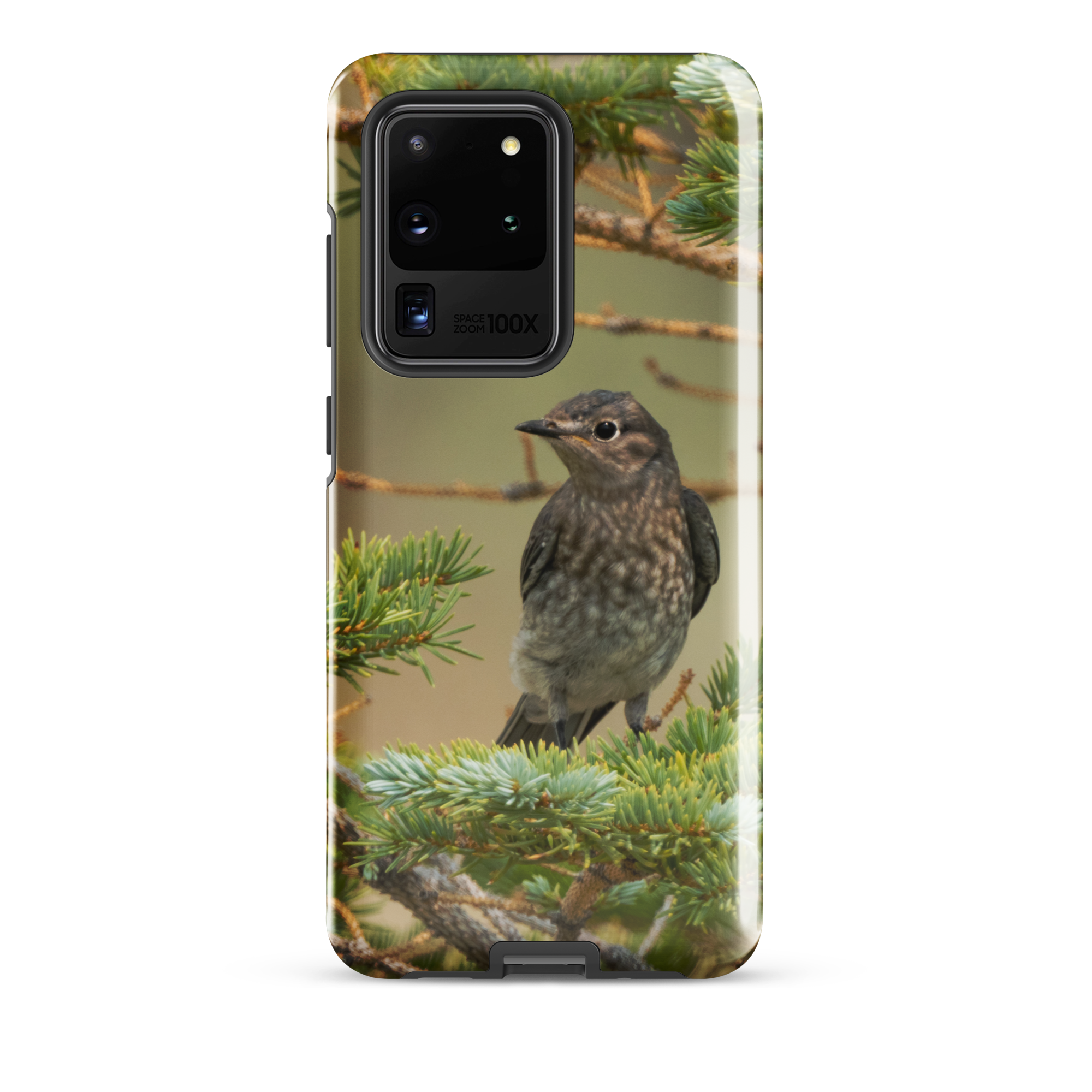 Female Mountain Bluebird Tough case for Samsung®