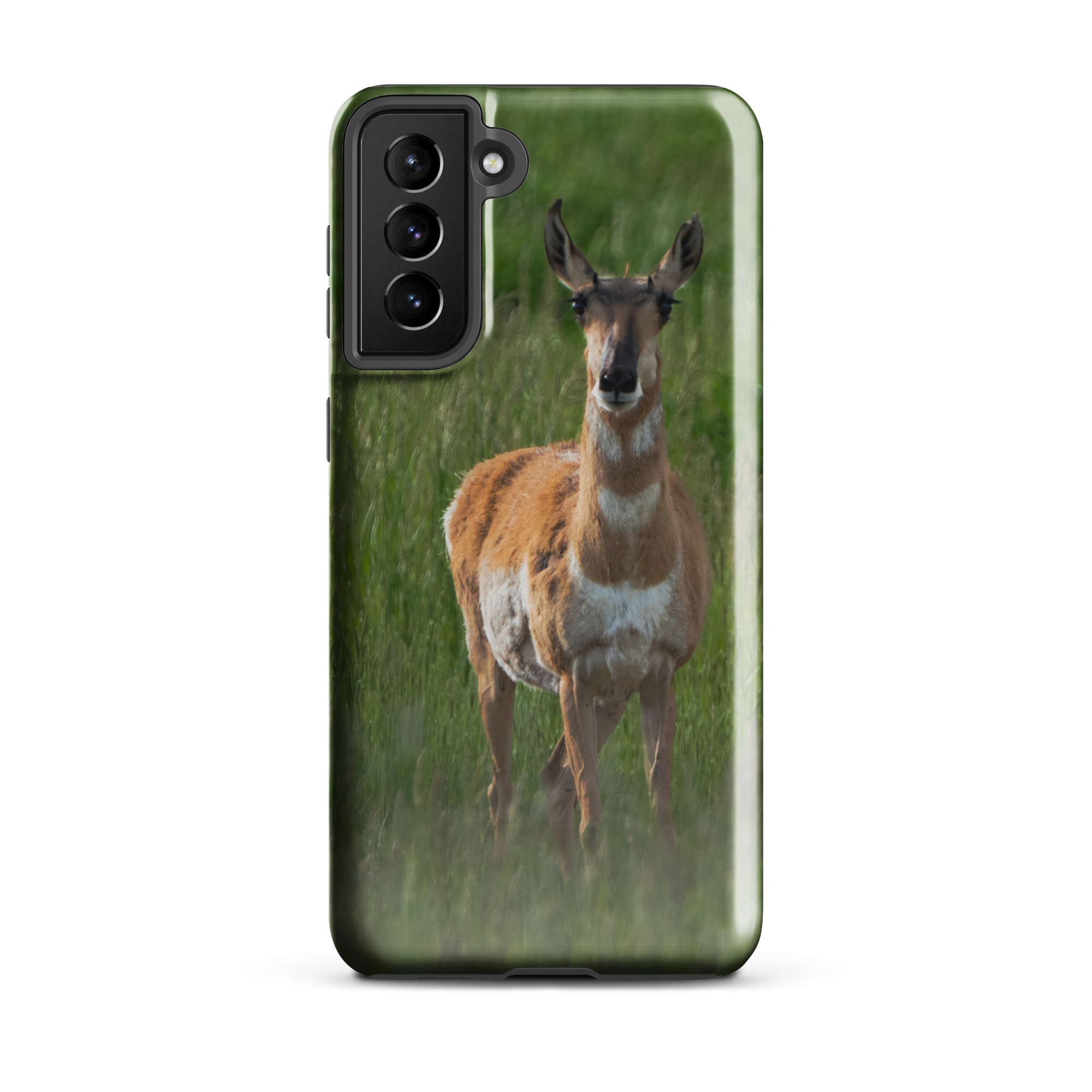 Samsung cover and pronghorn