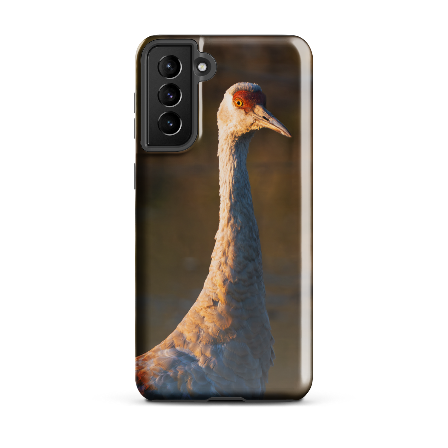 Sandhill Crane Samsung Cover