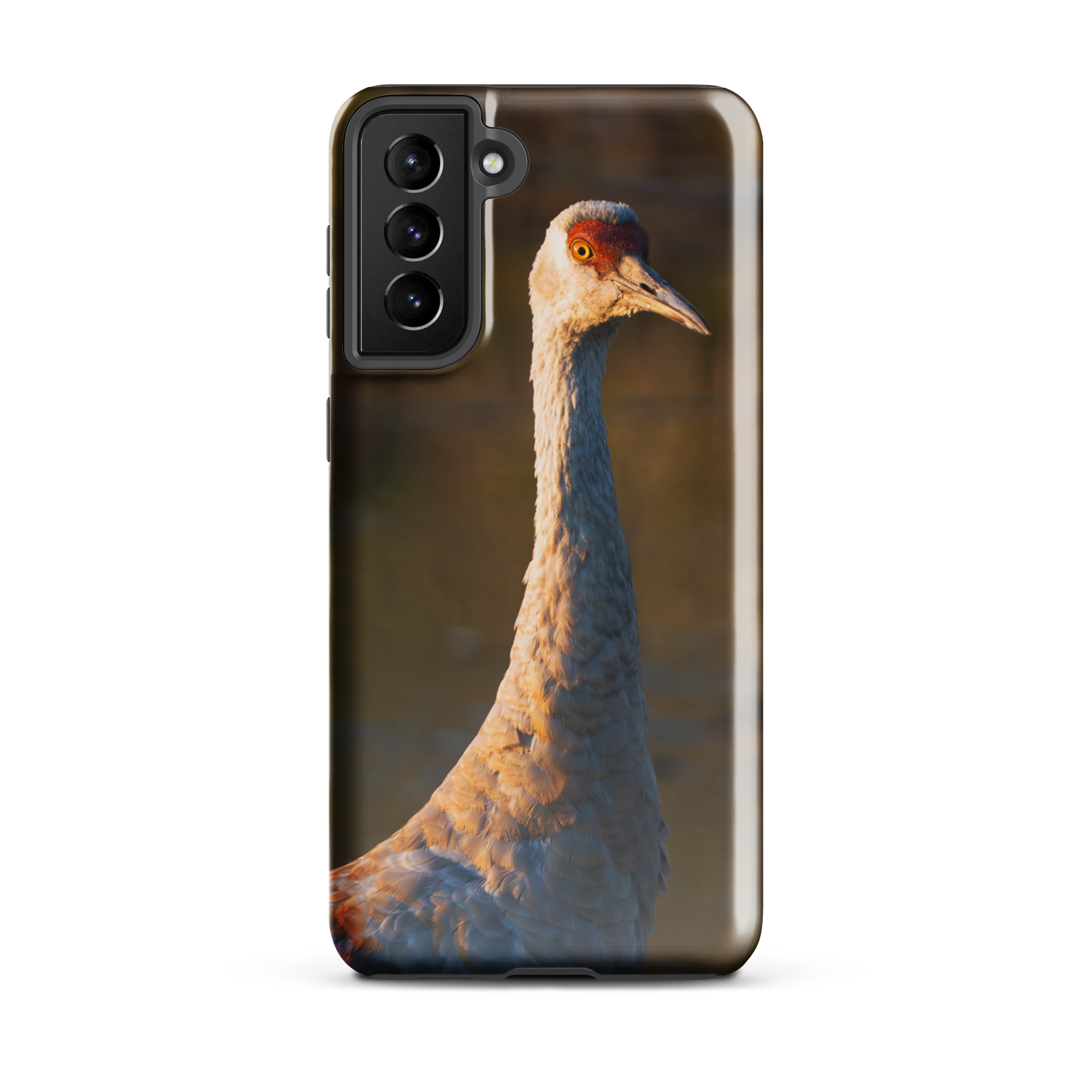 Sandhill Crane Samsung Cover