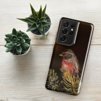 Common Redpoll Tough case for Samsung®