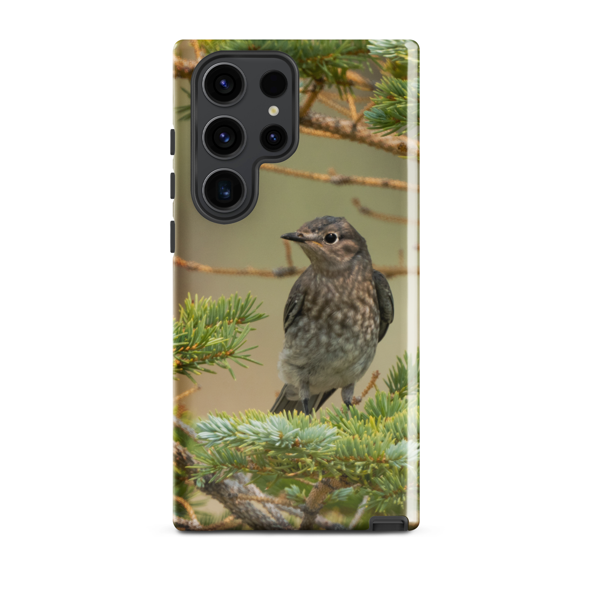 Female Mountain Bluebird Tough case for Samsung®