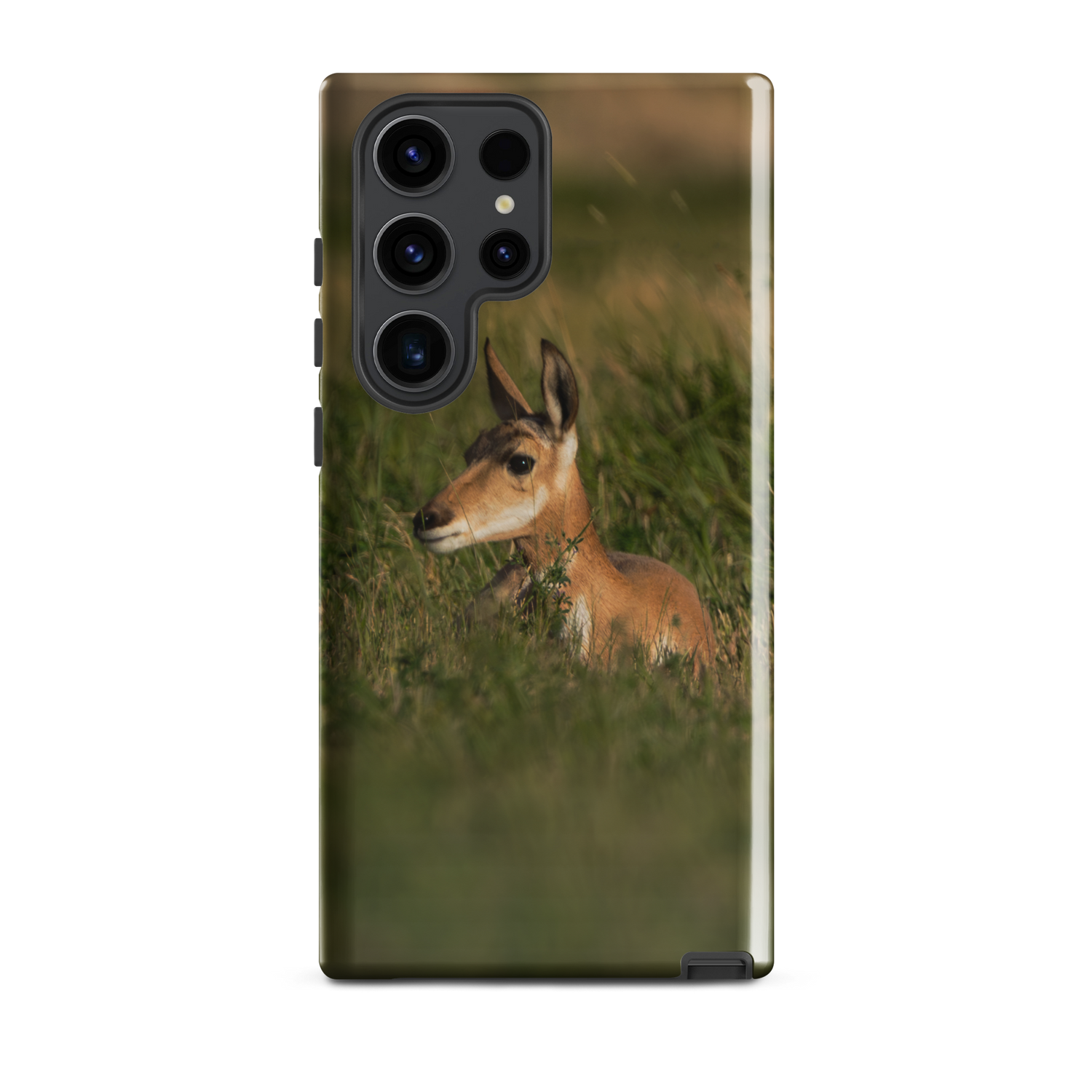 Baby Pronghorn Tough case for Samsung®