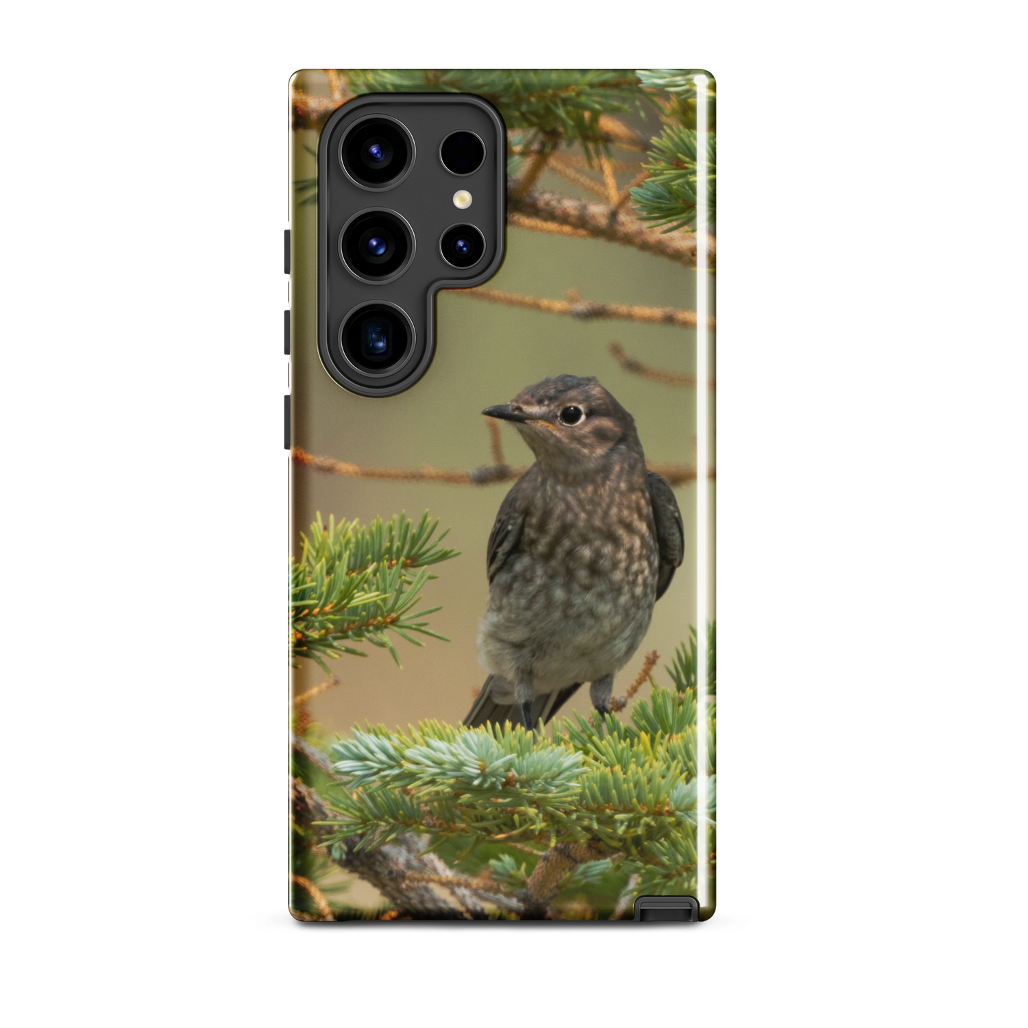 Female Mountain Bluebird Tough case for Samsung®