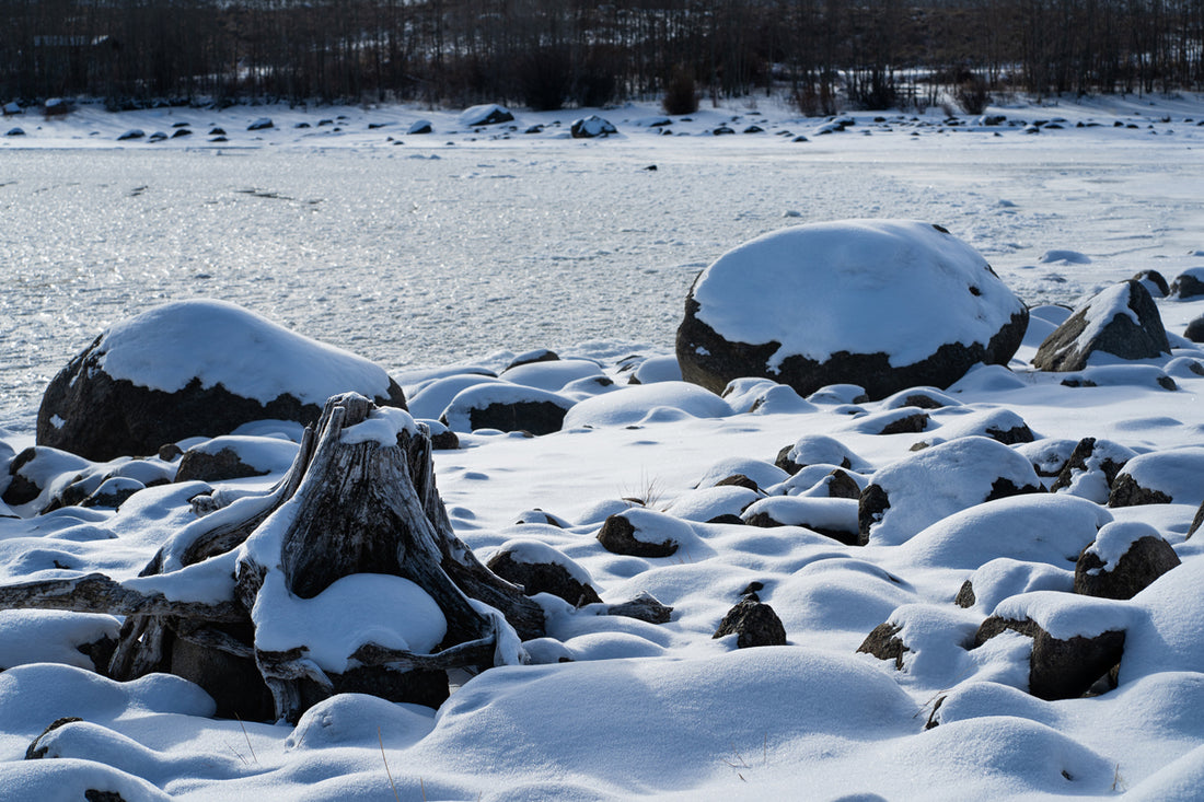 Landscape Photography: Willow Lake, Wyoming