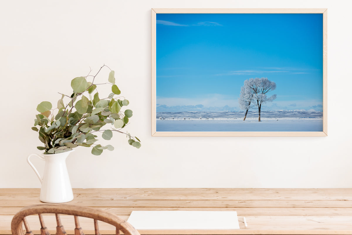 Enchanting Trees Wall Art: Embrace the Magic of Wyoming&