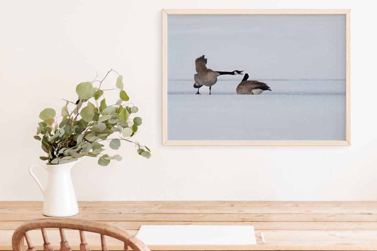 Bring Wyoming’s Wild Beauty Home with Canada Geese Wall Art