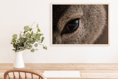 Close-Up Deer Wall Art: Capturing the Gentle Spirit of Wyoming