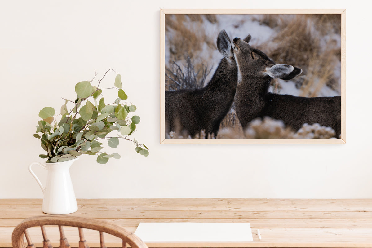 Deer Wall Art: Capturing the Tenderness of Wyoming&