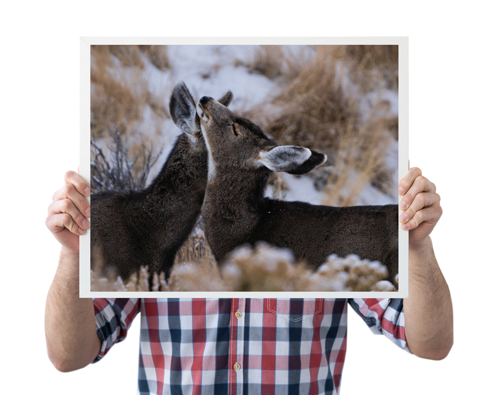 Deer Wall Art: Capturing the Tenderness of Wyoming&