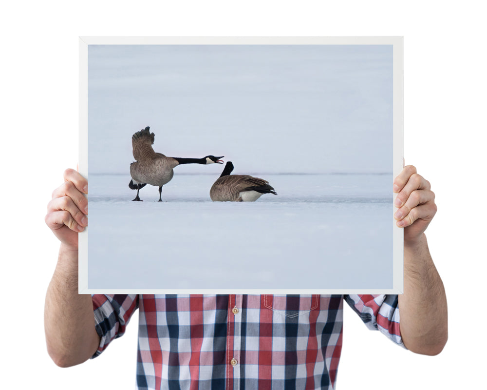 Bring Wyoming’s Wild Beauty Home with Canada Geese Wall Art