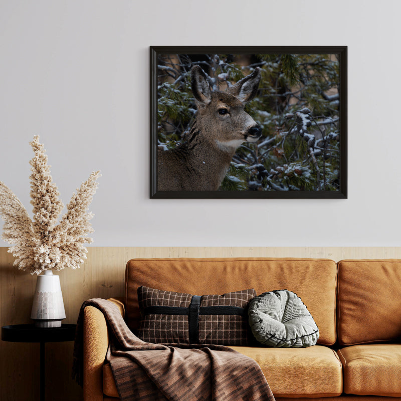 Nature’s Grace: A Winter Deer Print to Bring Wyoming’s Wilderness into Your Home 2