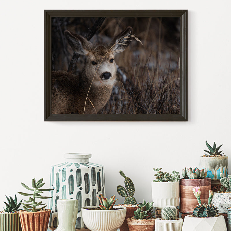 Nature’s Grace: A Winter Deer Print to Bring Wyoming’s Wilderness into Your Home