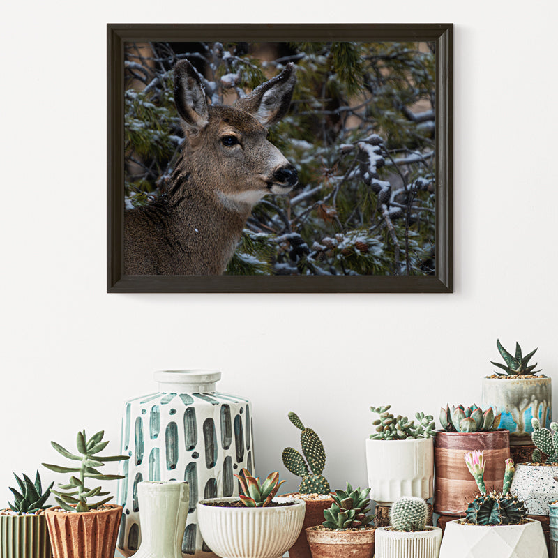 Nature’s Grace: A Winter Deer Print to Bring Wyoming’s Wilderness into Your Home 2