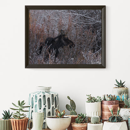 Majestic Moose Wall Art: Bring the Spirit of the Wild into Your Home