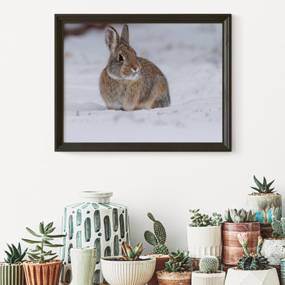 Cozy Cottontail: Captivating Bunny Wall Art to Bring Nature’s Charm Indoors!