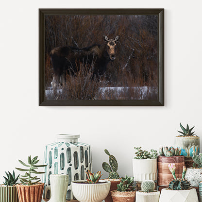 Majestic Moose Wall Art: Bring the Spirit of the Wild into Your Home 2