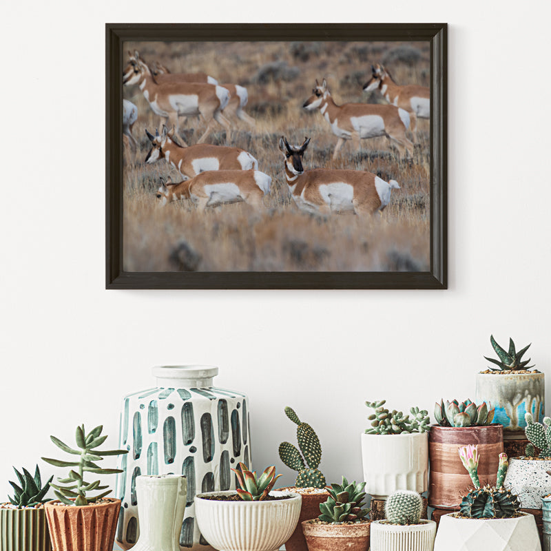 Grace in Motion: Stunning Pronghorn Artwork for Your Home