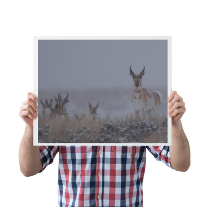 Chasing the Wild: Pronghorn Artwork to Capture Nature’s Untamed Spirit