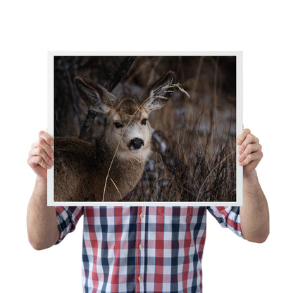 Nature’s Grace: A Winter Deer Print to Bring Wyoming’s Wilderness into Your Home