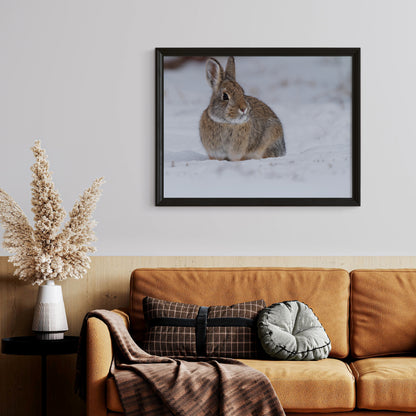 Cozy Cottontail: Captivating Bunny Wall Art to Bring Nature’s Charm Indoors!