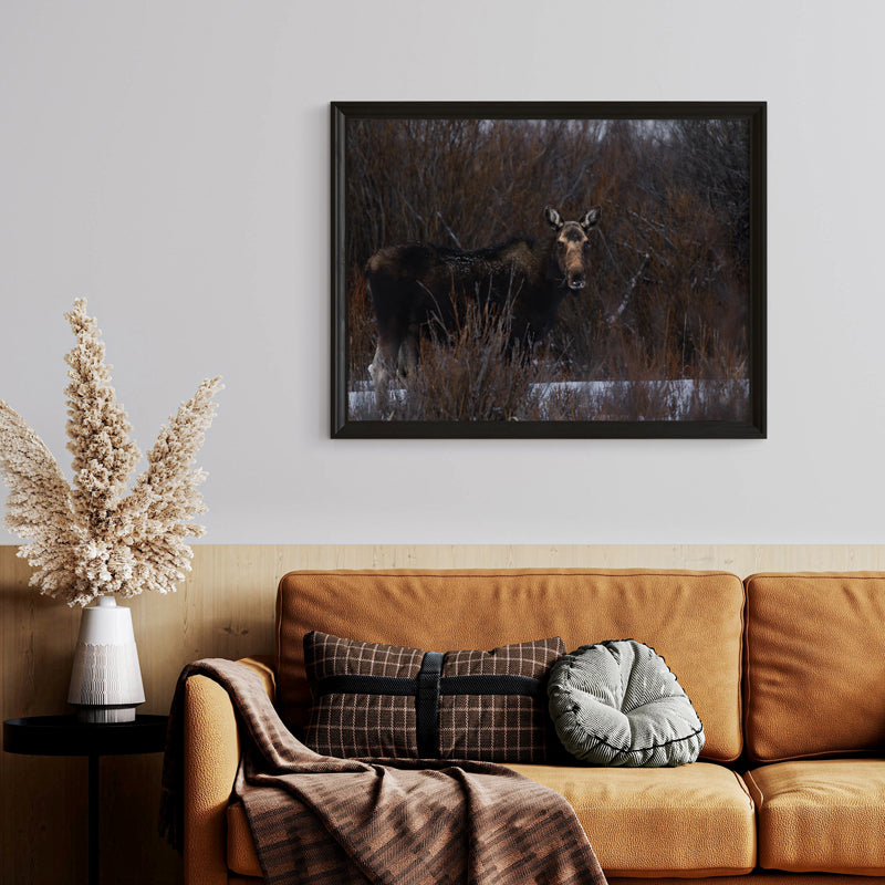 Majestic Moose Wall Art: Bring the Spirit of the Wild into Your Home 2