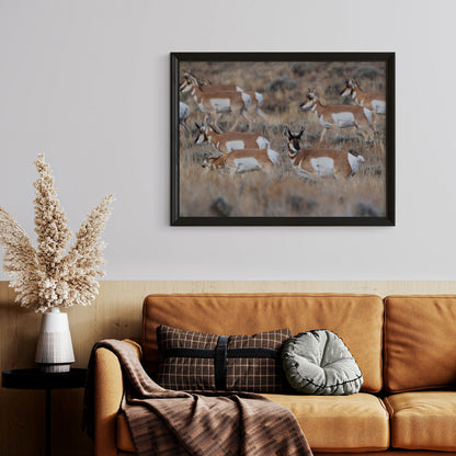 Grace in Motion: Stunning Pronghorn Artwork for Your Home